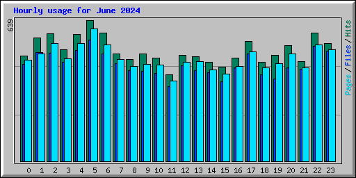 Hourly usage for June 2024