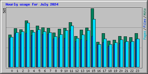 Hourly usage for July 2024